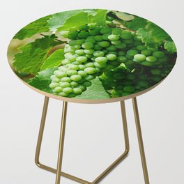 Riesling grape vines in a french vineyard | Alsace white wines Side Table