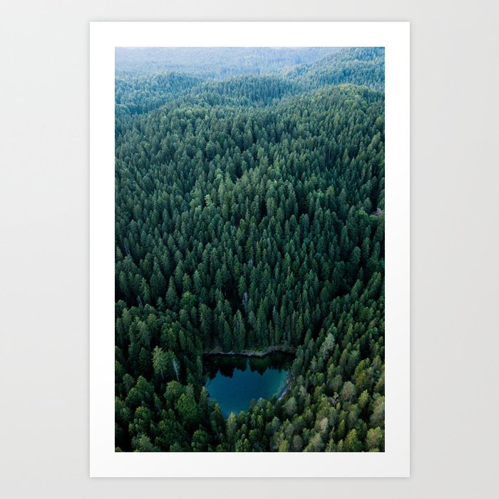 Hidden Forest Lake in the German Landscape Art Print