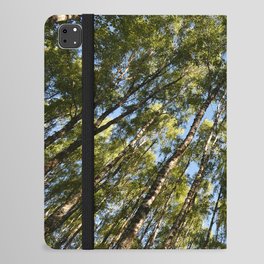 Spring Birch Tree Canopy in the Scottish Highlands iPad Folio Case