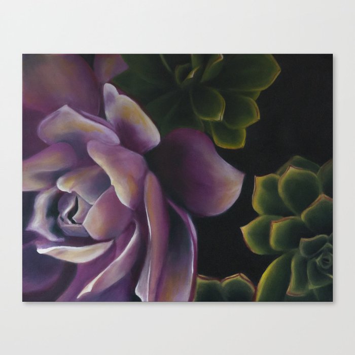 Colorful Succulents  Canvas Print