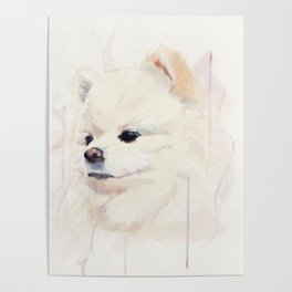 Pomeranian Dog Watercolour Poster