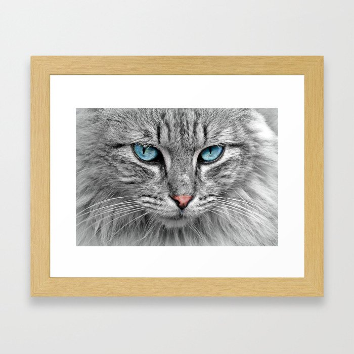 Cat Face Framed Art Print