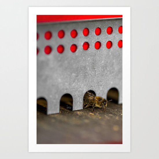 The Bee has the entry of the hive Art Print