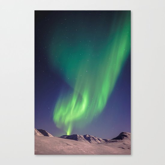 The Northern Lights (Aurora Borealis) Canvas Print