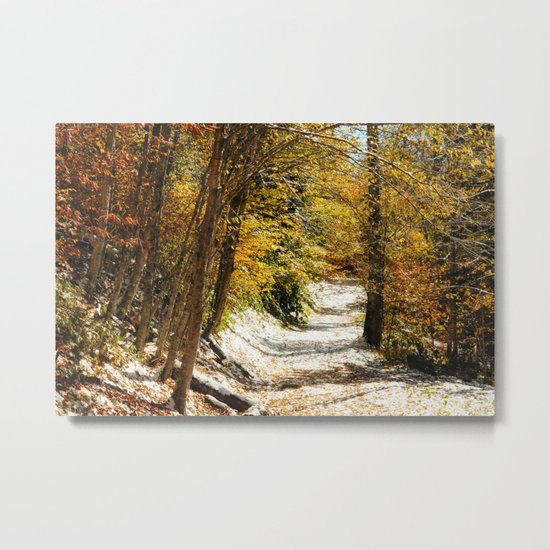 The First Snow Metal Print