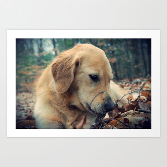 Sweet Dog Art Print