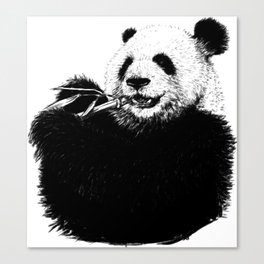 panda Canvas Print
