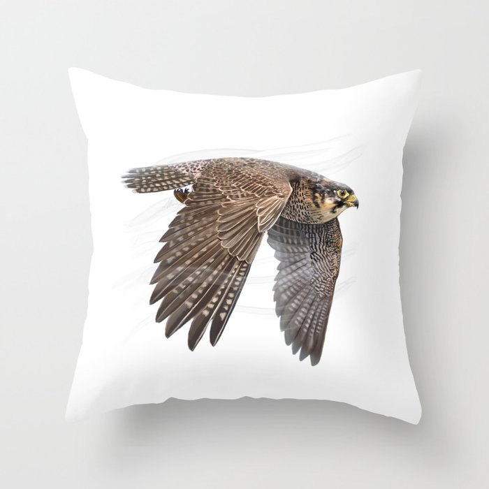Peregrine falcon scientific illustration art print Throw Pillow