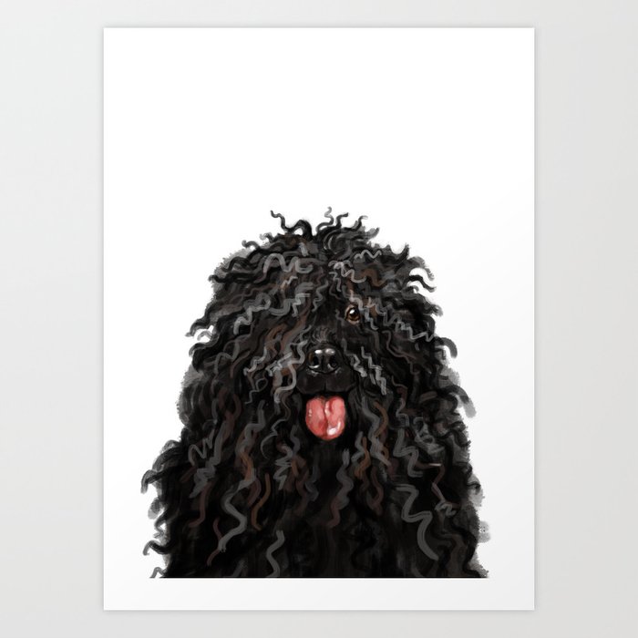 Black puli deals