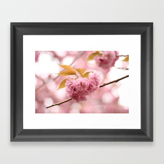 Cherry Blossoms Framed Art Print