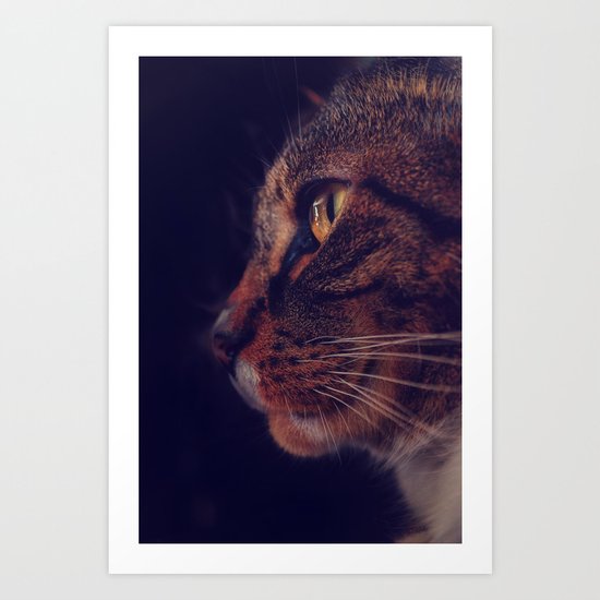 Profile of a Cat Art Print