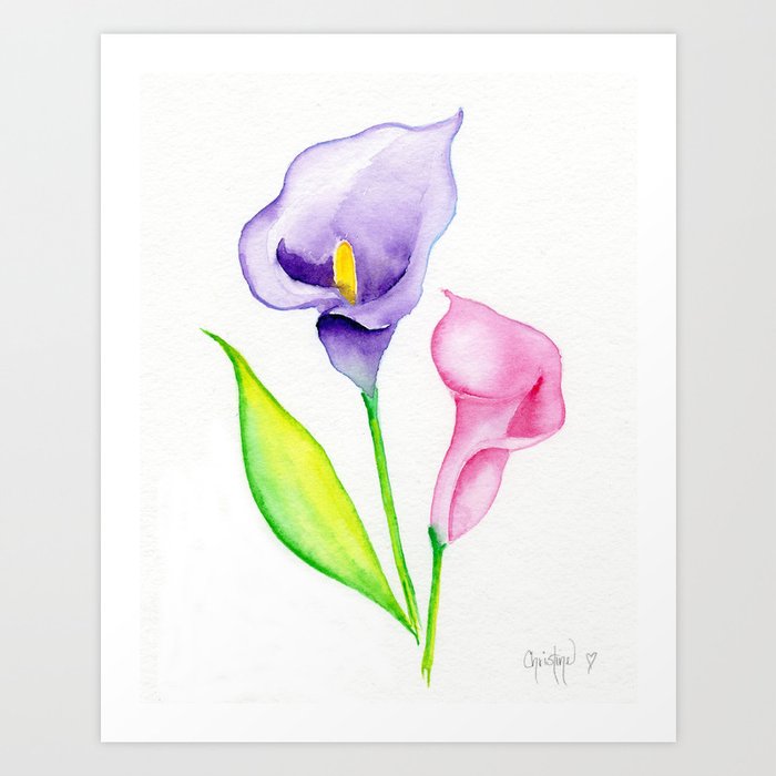 Calla Lilies Art Print By Christinecholowsky Society6