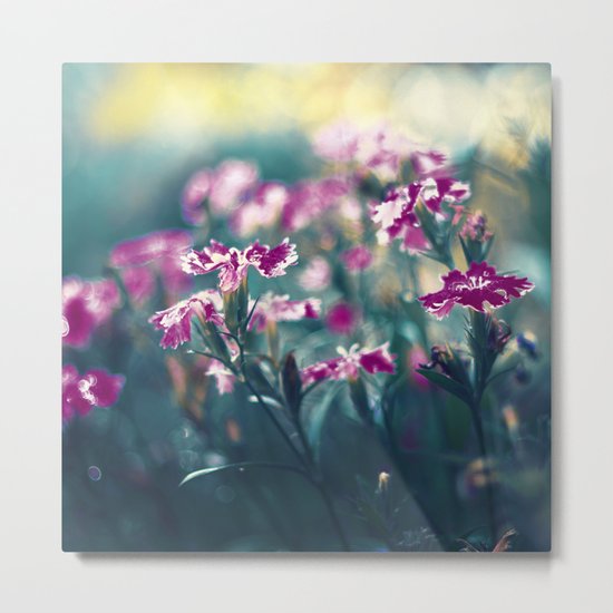 Underwater Wishes Metal Print