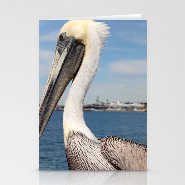 San Diego Pelican Stationery Cards