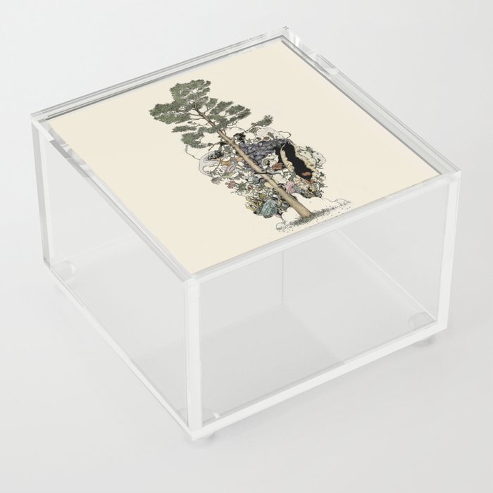 Everdream Pine Acrylic Box