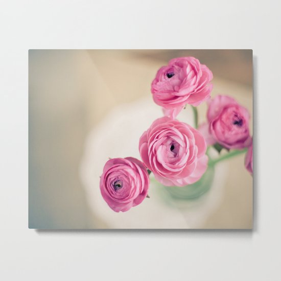 Ranunculus in Morning Light Metal Print
