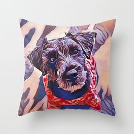 The Schnoodle - A Schnauzer Poodle Mix Breed Throw Pillow
