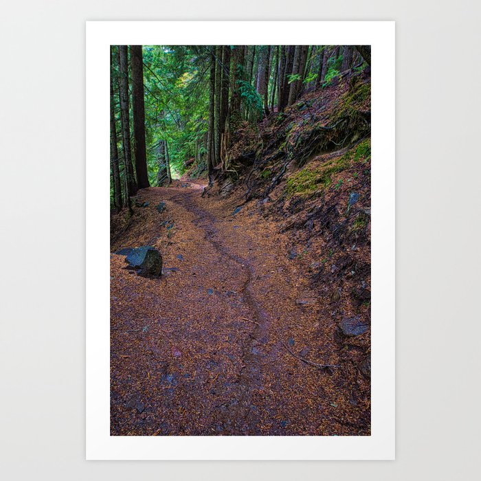 A Mount Rainer Trail Art Print