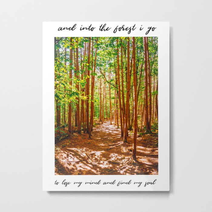 John Muir-And Into The Forest I Go To Lose My Mind And Find My Soul Metal Print