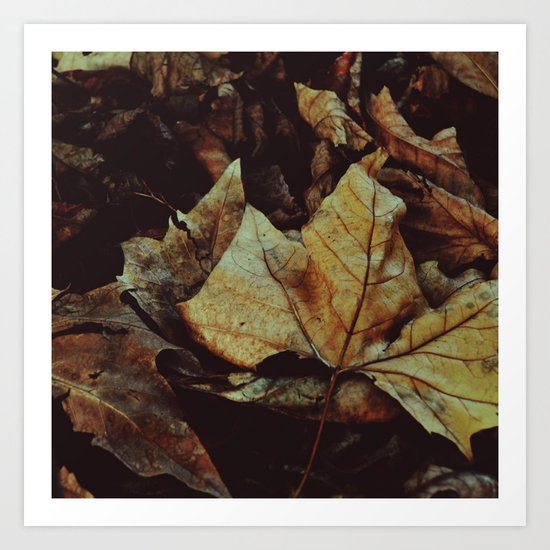 Autumn leaves Art Print