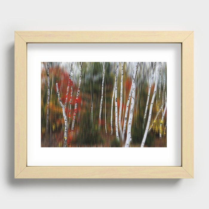 Enchanted Birch Forest Recessed Framed Print