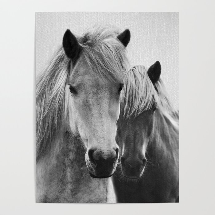 Horses - Black & White 7 Poster