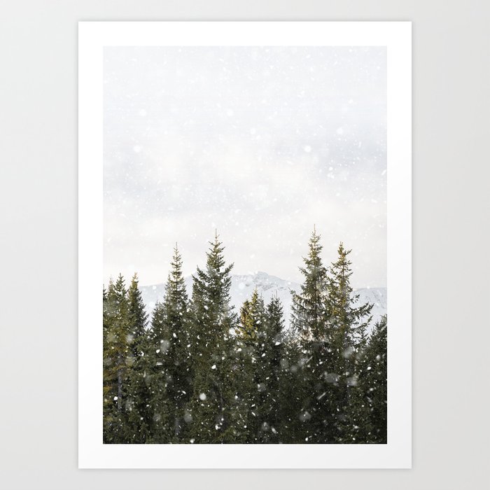 Pine Trees in the Snow | Winter Landscape in Norway | Nature Travel Photography in Color Art Print