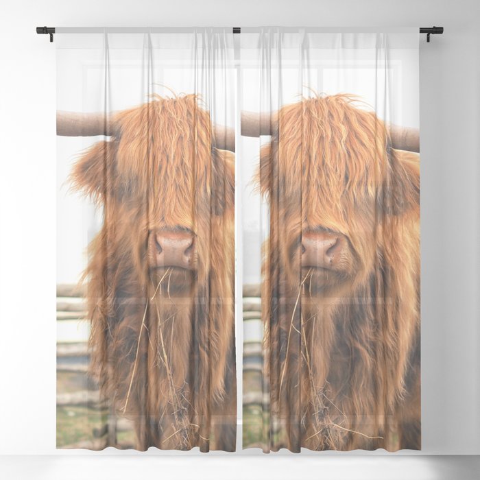 Sheer Curtain