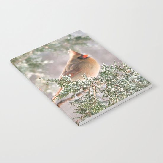 Hoarfrost Cardinals Notebook