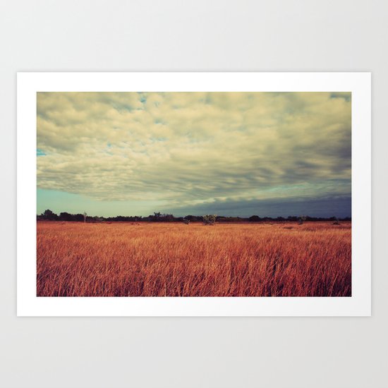 Sway the day away Art Print