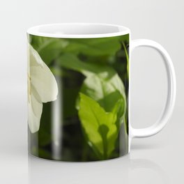 Mayapple blossom Coffee Mug