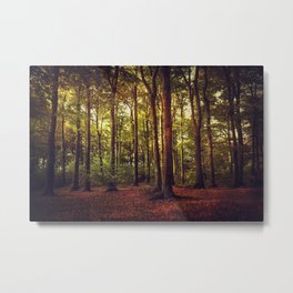 october forest II Metal Print | Wilderness, Explore, Adventure, Outdoors, Nature, Color, Photo, Painterly, Atmosphere, Deciduousforest 