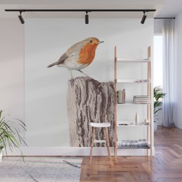 The Robin, A Realistic Watercolor Painting Wall Mural