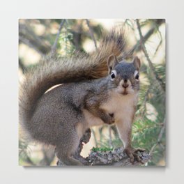 And Who Are You? Metal Print