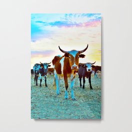 Sunset Steers Metal Print | Horns, Westerndecor, Photo, Western, Steer, Moo, Corriente, Cow, Longhorn, Steers 