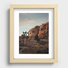 Joshua Tree National Park #4 Recessed Framed Print