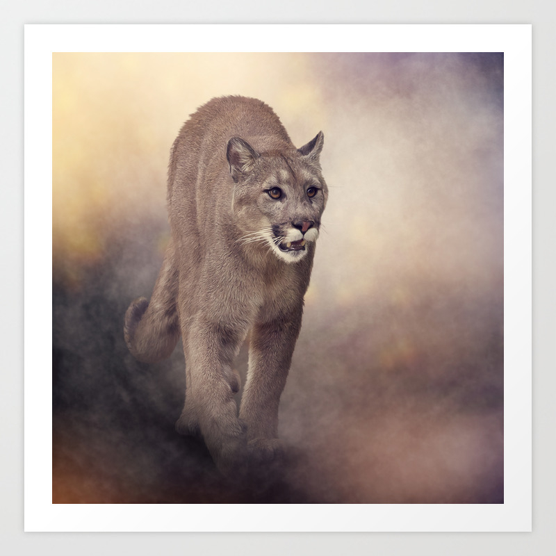 Florida Panther Or Cougar Digital Painting Art Print By Svetlanna