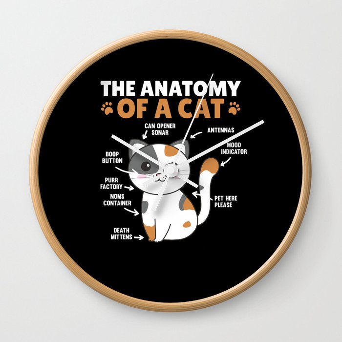 The Anatomy Of A Cat Funny Explanation Of A Cat Wall Clock