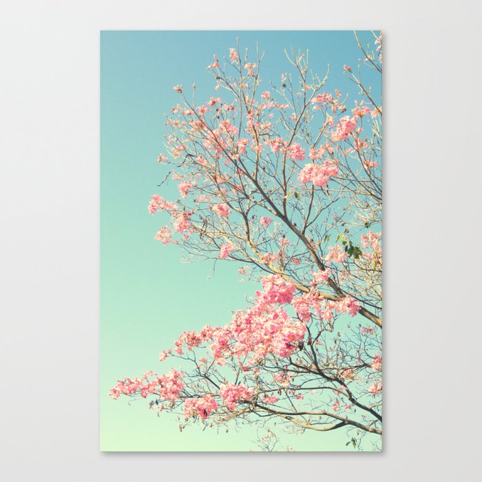 Spring Kissing the Sky Canvas Print