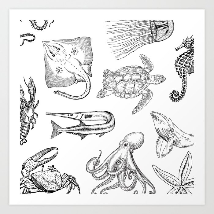 Marine Life Black and White Pattern Aquatic Art Print