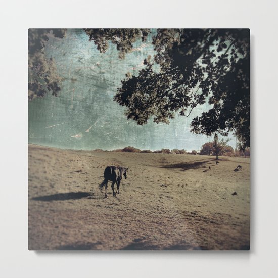 black horse departs Metal Print