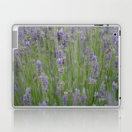 A Blur Of Beautiful Lavender Flowers Photograph Laptop Skin