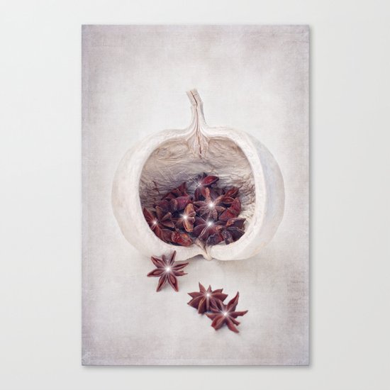 WINTER SECRETS Canvas Print