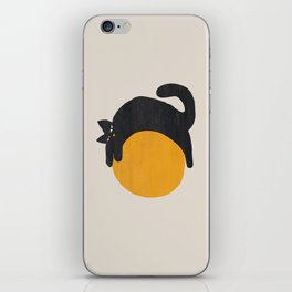 Cat with ball iPhone Skin