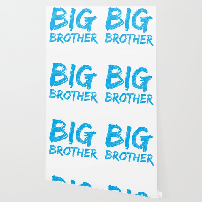 Big Brother Again Gift Promoted To Big Brother New Baby Sibling
