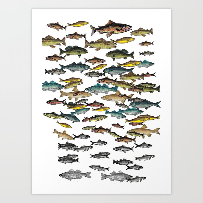 Fish Beach Nautical multicolor and black and white Art Print
