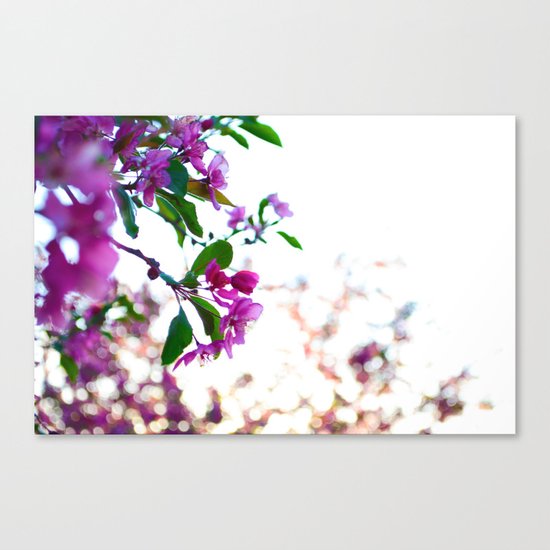 Flowers of Spring Canvas Print