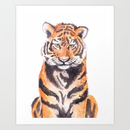 Watercolor Tiger Art Print
