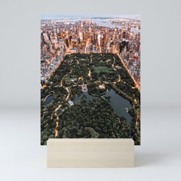 Central Park New York Mini Art Print
