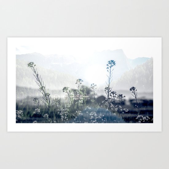 Mountain Bloom Art Print